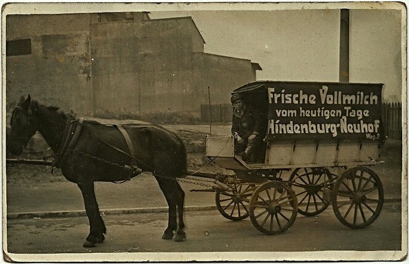 Zabrze, Mikulczyce, Klausberg, Mikultschütz - Neuhof  -   Hindenburg O.S.   Milchtransport   Wóz mleczarski